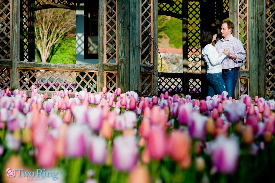 Engagement shoot with Kelly and Jason