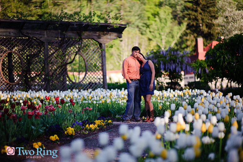 Engagement photos at Festival of Flowers
