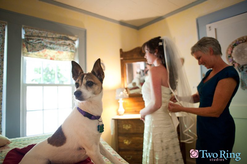 Bride getting ready with mother (and dog)