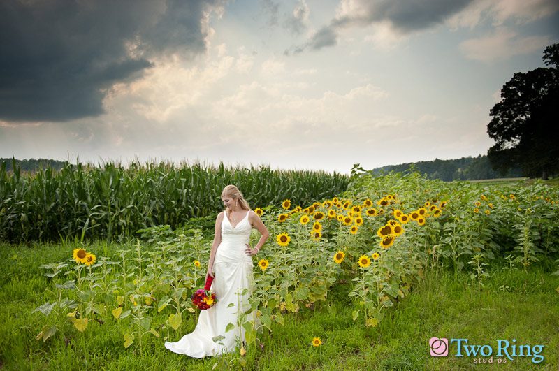 Bridal portrait among sunflowers