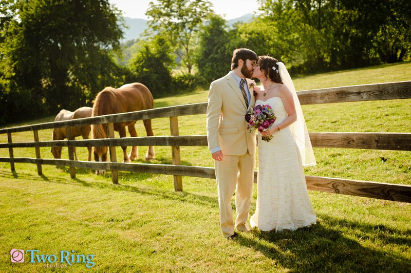 Wedding photo of Asheville, NC wedding