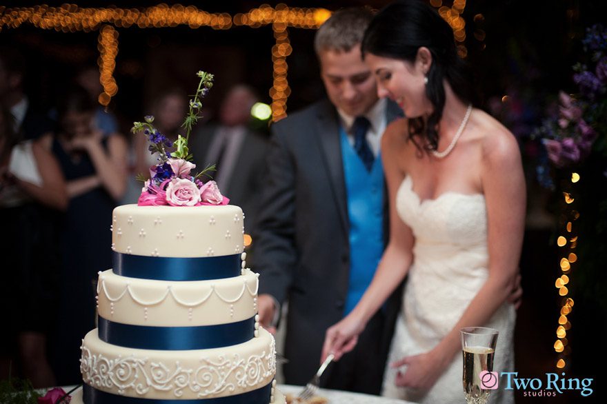Couple cuts cake at reception