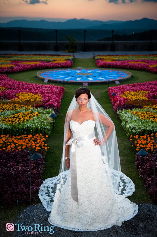Flower Carpet bridal photo