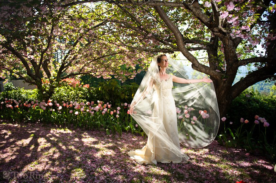 bride in gardens