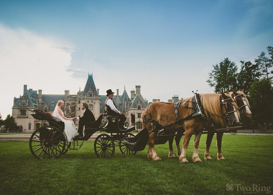 Horse and carriage in front of Biltmore house